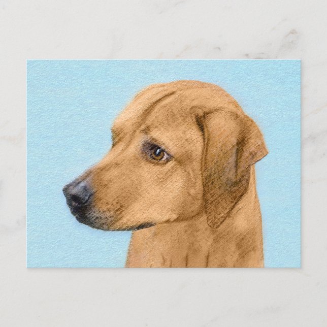Rhodesian Ridgeback Painting - Original Hund Art Vykort (Framsida)