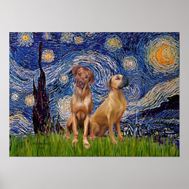 Rhodesian Ridgeback Pair - Starry Natt Poster (Framsidan)