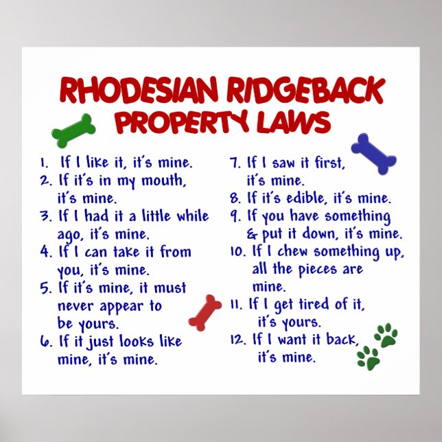 RHODESIAN RIDGEBACK POSTER (Framsidan)