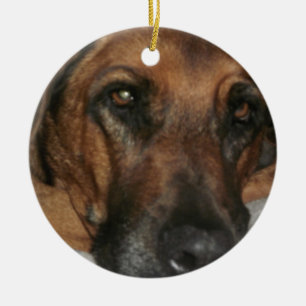 Rhodesian Ridgeback prydnad Julgransprydnad Keramik