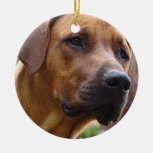 Rhodesian Ridgeback prydnad Julgransprydnad Keramik