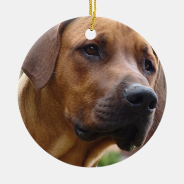 Rhodesian Ridgeback prydnad Julgransprydnad Keramik (Framsidan)