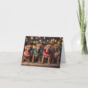 Rhodesian Ridgeback Puppies-julkort Kort