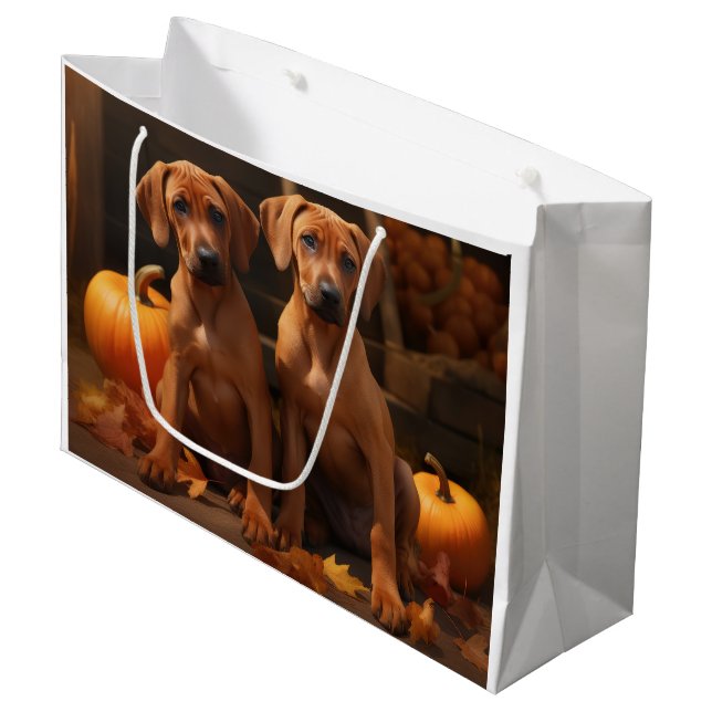 Rhodesian Ridgeback Puppy Autumn Delight Pumpkin (Framsidan Vinklad)