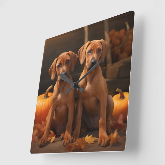 Rhodesian Ridgeback Puppy Autumn Delight Pumpkin Fyrkantig Klocka (Vinkel)