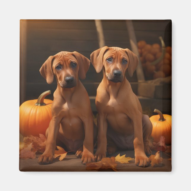 Rhodesian Ridgeback Puppy Autumn Delight Pumpkin Magnet (Framsidan)