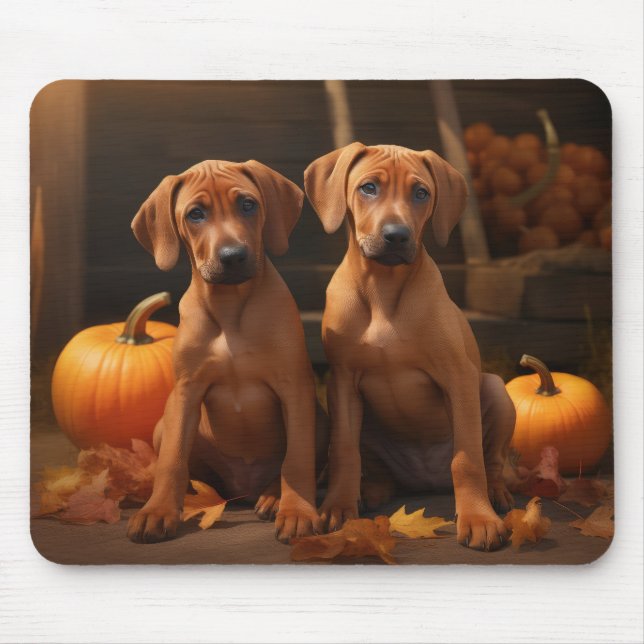 Rhodesian Ridgeback Puppy Autumn Delight Pumpkin Musmatta (Framsidan)