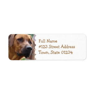 Rhodesian Ridgeback returadressetikett Returadress Etikett