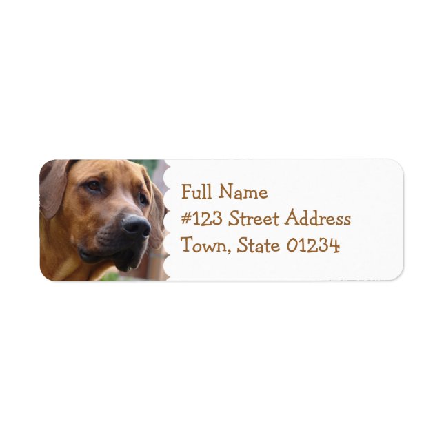 Rhodesian Ridgeback Return-adressetikett Returadress Etikett (Framsidan)