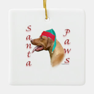 Rhodesian Ridgeback Santa Tassar Julgransprydnad Keramik
