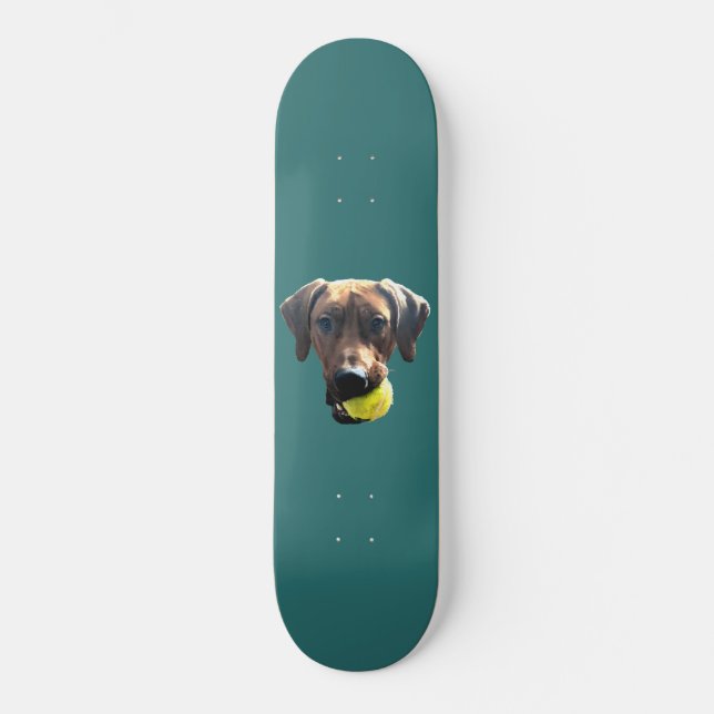 Rhodesian Ridgeback Skateboard (Framsida)