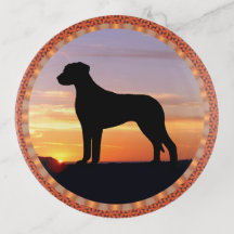 Rhodesian Ridgeback solnedgångSilhouette