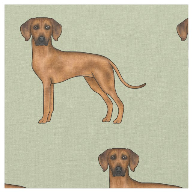 Rhodesian Ridgeback Söt Afrikansk Lejon Hund Grön Tyg (Närbild)