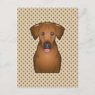 Rhodesian Ridgeback-Tecknad Vykort
