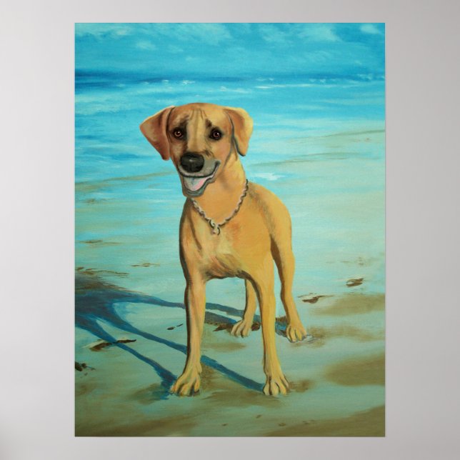 Rhodesian Ridgeback "Tony" Smiles Poster (Framsidan)