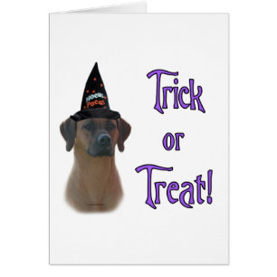 Rhodesian Ridgeback Trick Hälsningskort