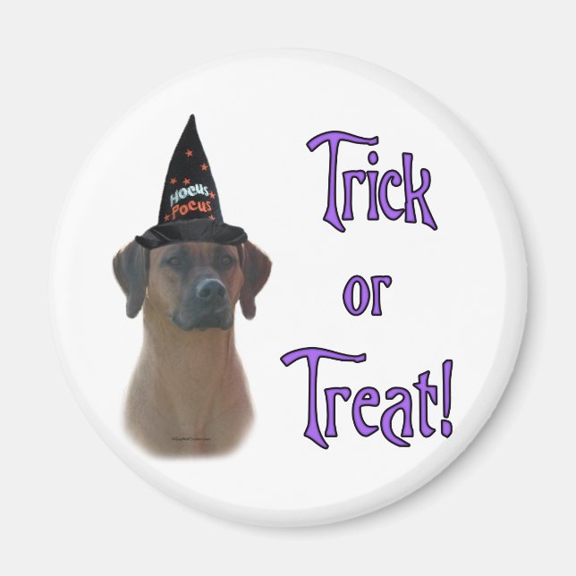Rhodesian Ridgeback Trick Magnet (Framsidan)