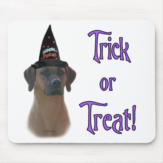Rhodesian Ridgeback Trick Musmatta (Framsidan)