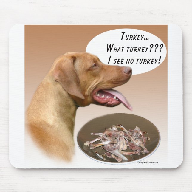 Rhodesian Ridgeback Turkiet Musmatta (Framsidan)
