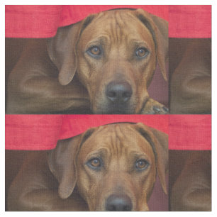 rhodesian-ridgeback tyg