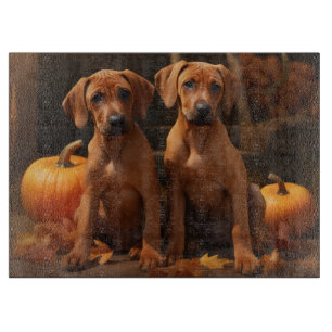 Rhodesian Ridgeback Valp Höstglädje Pumpa