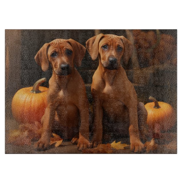 Rhodesian Ridgeback Valp Höstglädje Pumpa  (Framsidan)