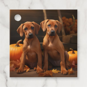 Rhodesian Ridgeback Valp Höstglädje Pumpa Gåvor Etiketter