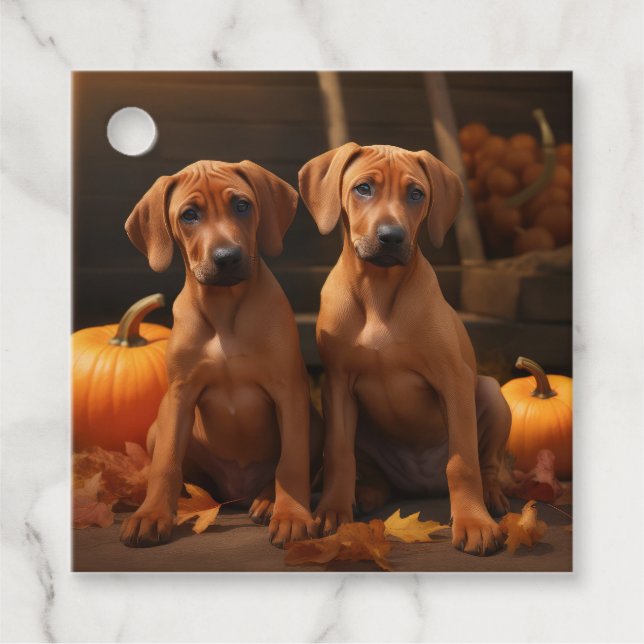 Rhodesian Ridgeback Valp Höstglädje Pumpa  Gåvor Etiketter (Framsida)