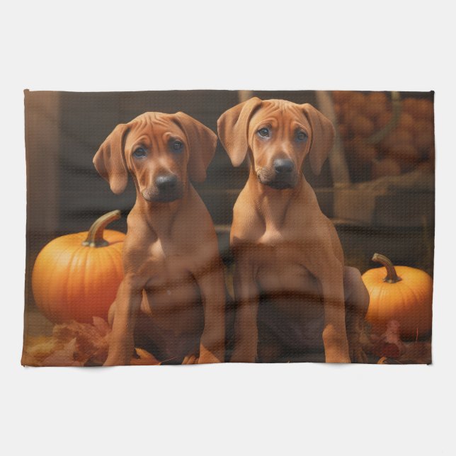 Rhodesian Ridgeback Valp Höstglädje Pumpa  Kökshandduk (Horisontell)