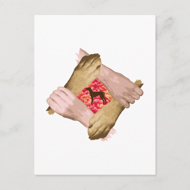 Rhodesian Ridgeback Vykort (Framsida)