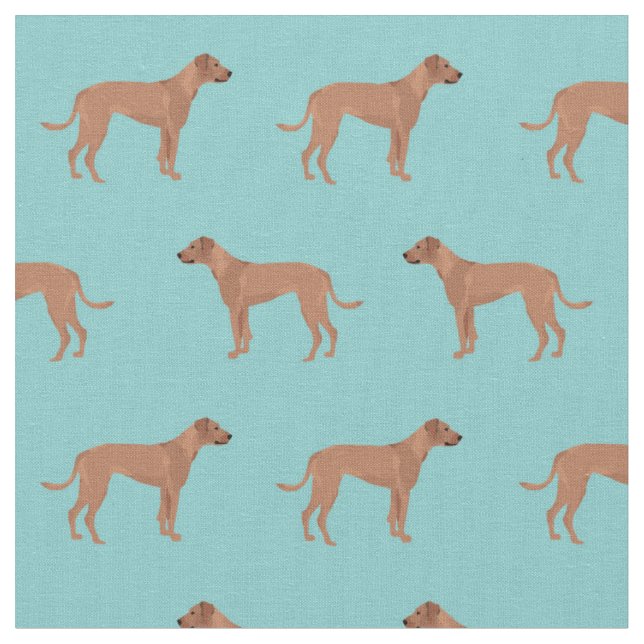 rhodesisk ridgeback-hund ljusblå tyg (Närbild)