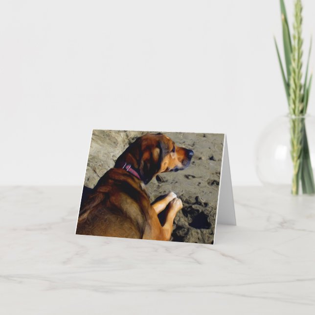 Rhodie i oljor kort (Framsida)