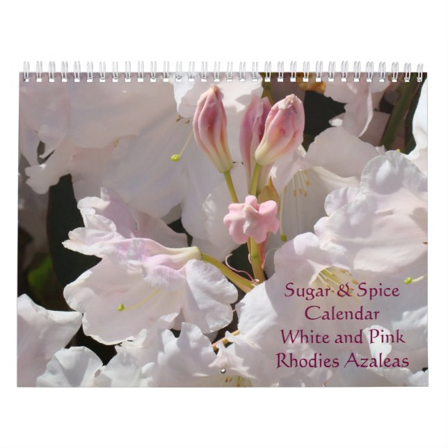 Rhodies Azaleor Kalender Socker & Krydda Rosa Vit (Omslag)