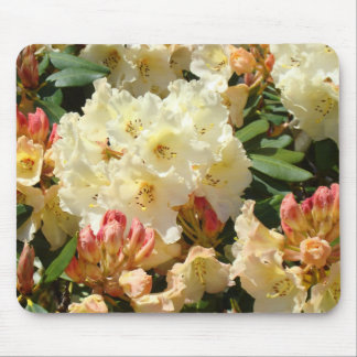 RHODIES Blommor MUSMATTOR MUSMATTA Blommig