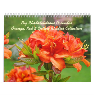 Rhodies Kalendrar Rhododendrons Röda Orange Gula Kalender