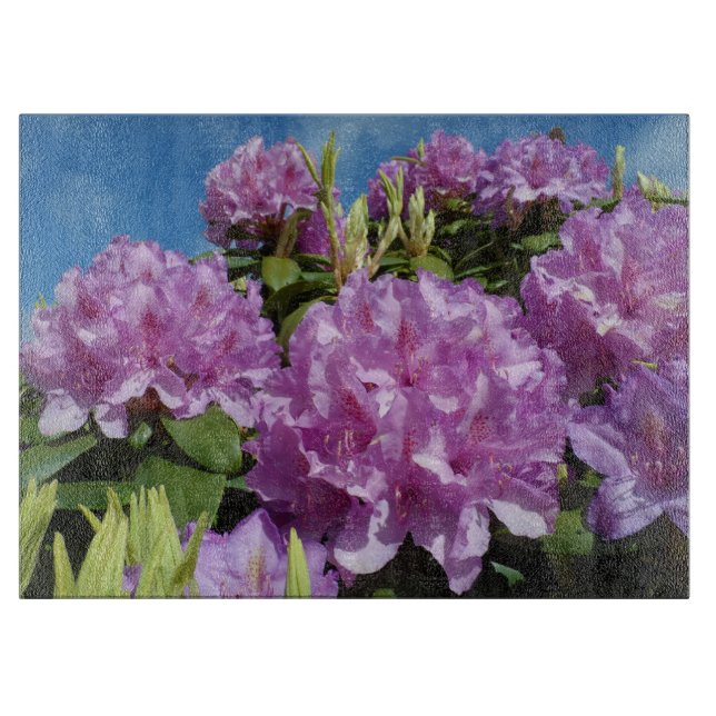 Rhododendron (Framsidan)
