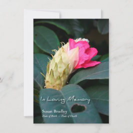 Rhododendron 2 Firande av livstidsinbjudan Inbjudningar