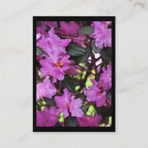 Rhododendron ATC Visitkort
