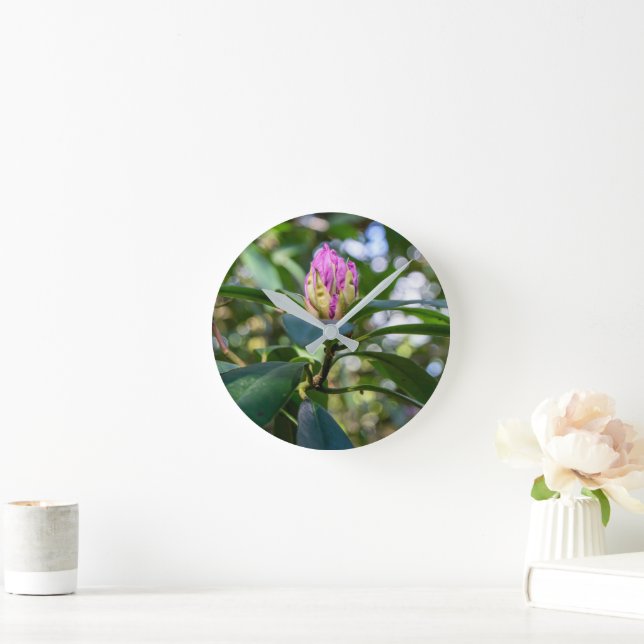 Rhododendron Blomknopp Rund Klocka (Hem)