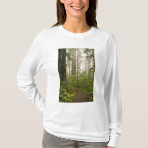 Rhododendron blommar bland kustredwood / t-shirt