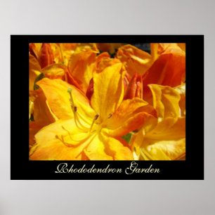 Rhododendron Blommor konsttryck Sisters Garden Poster