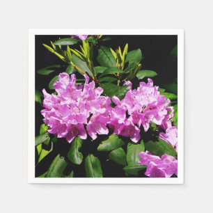 Rhododendron Closeup Pappersservett