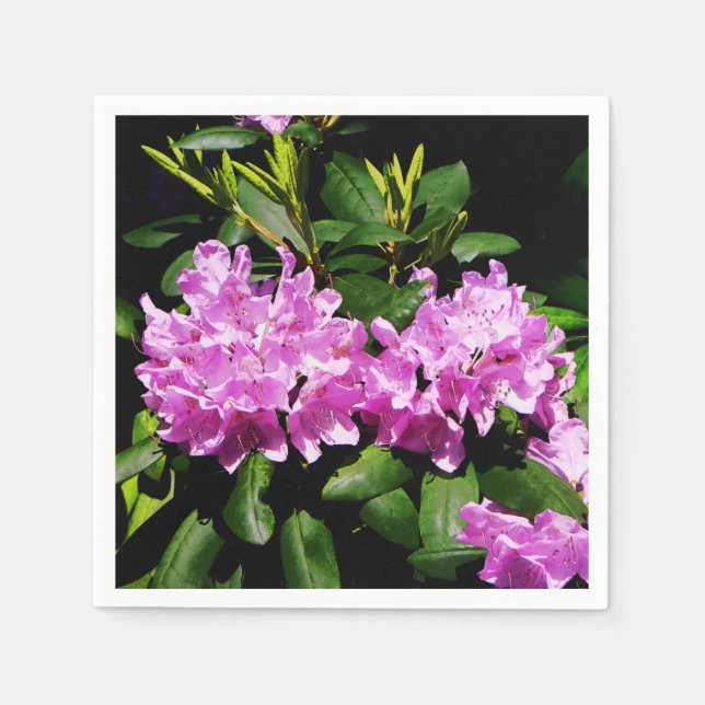 Rhododendron Closeup Pappersservett (Framsidan)