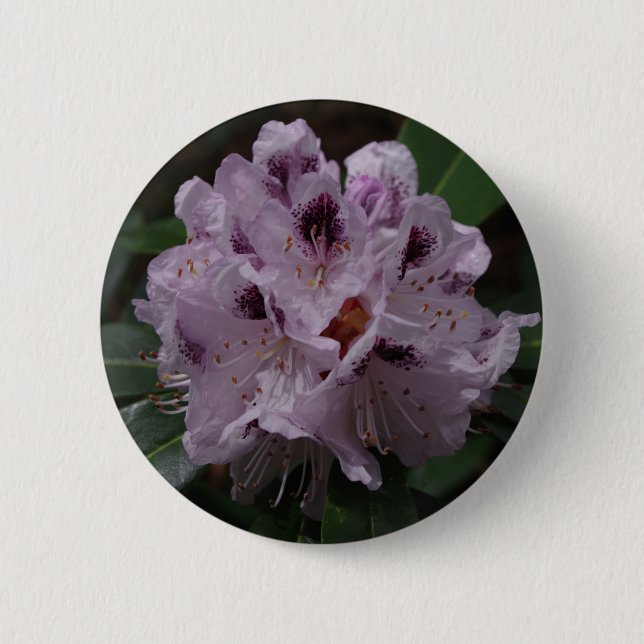 Rhododendron Flower Badge Knapp (Framsida)