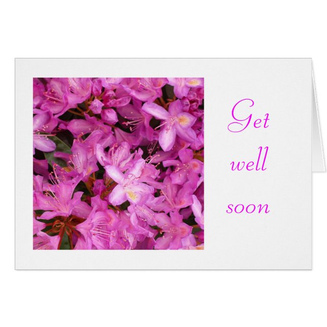 rhododendron hälsningskort (Framsidan Horizontal)