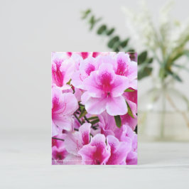 Rhododendron Hirado Azarea Vykort