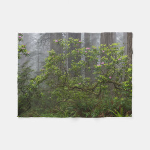 Rhododendron i Redwood National Park California Fleecefilt