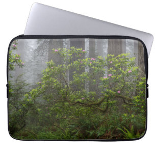 Rhododendron i Redwood National Park Kalifornien Laptop Fodral