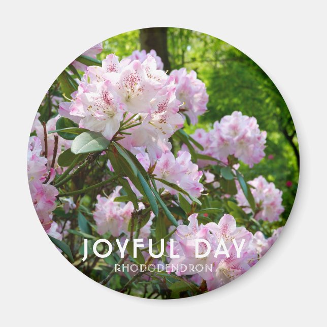Rhododendron "Joyful Day" Magnet (Framsidan)