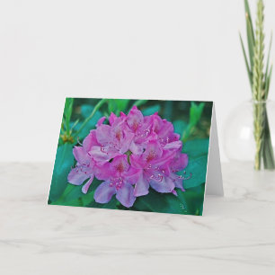 Rhododendron Kort